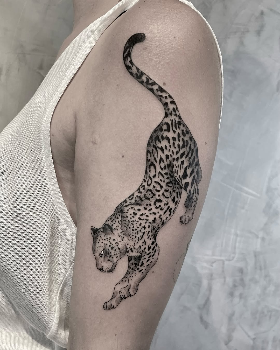 Animal, 표범, Tiger, 치타, 재규어