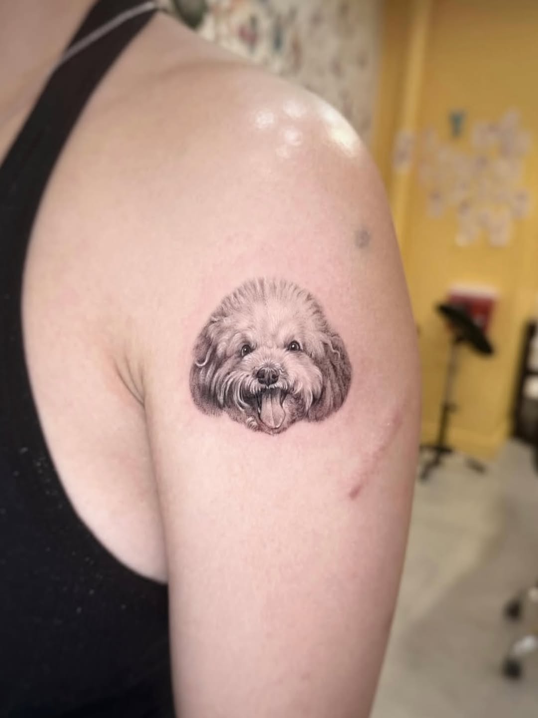 Animal