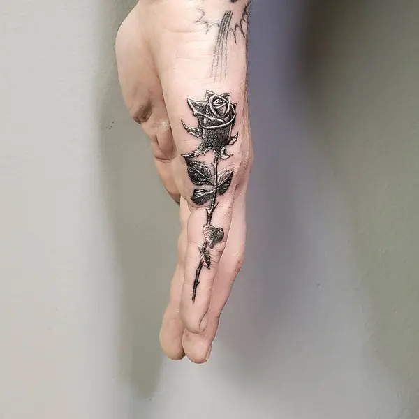 Flower, Rose