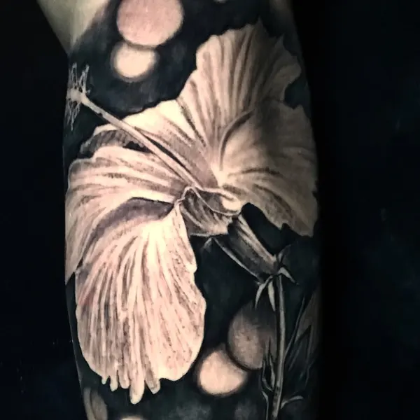 Flower, Nature
