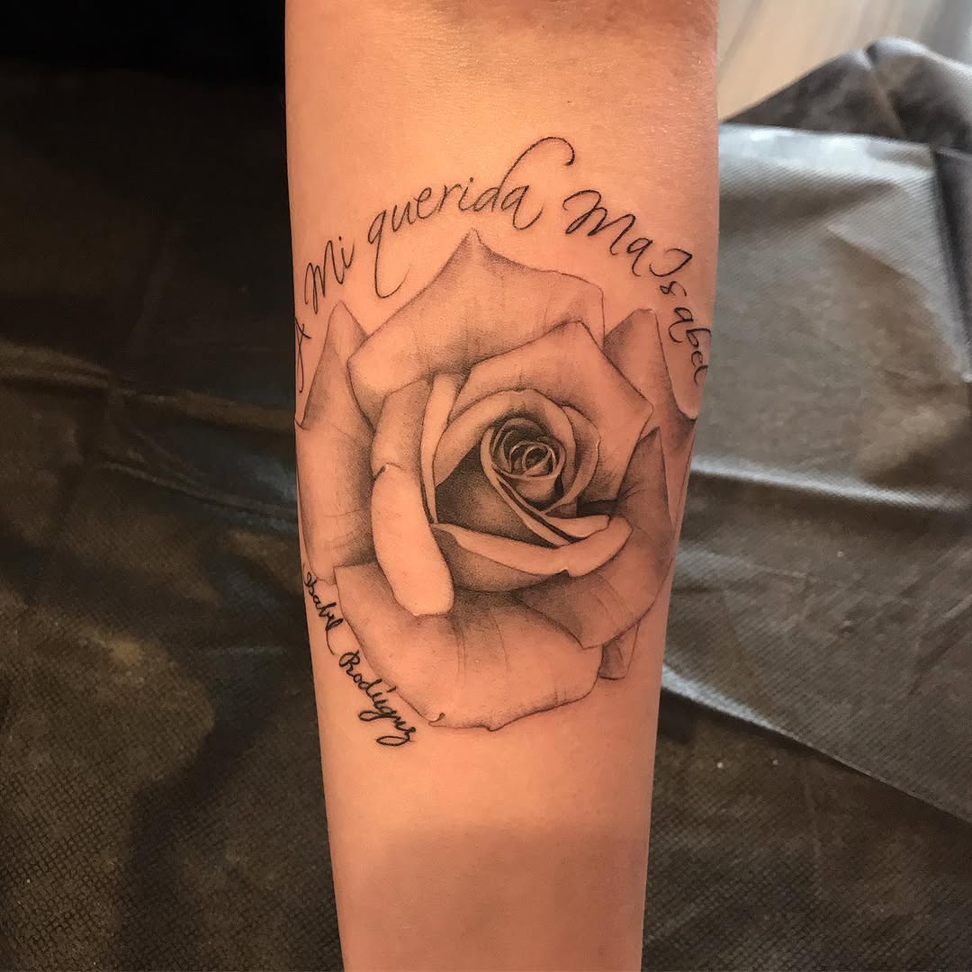 Flower, Rose