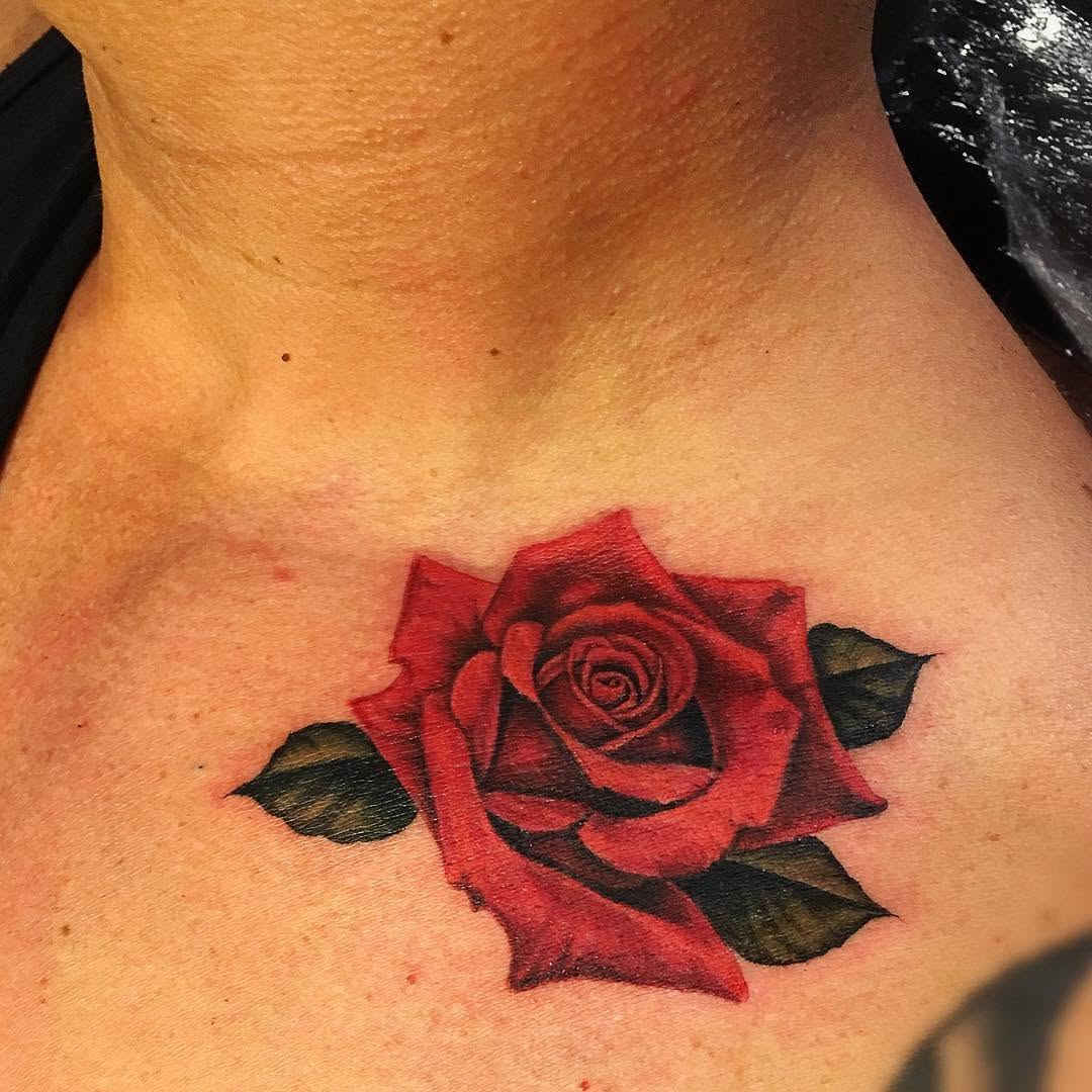 Flower, Rose, Nature