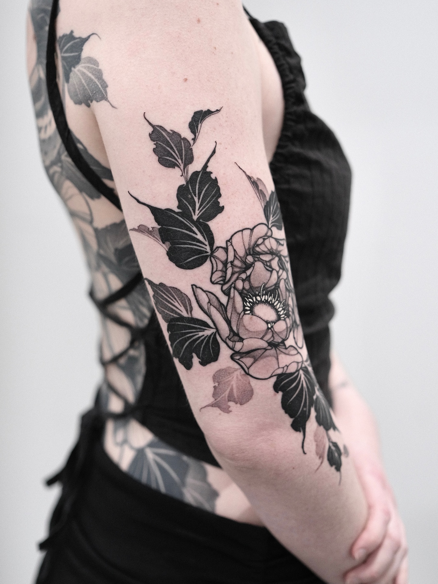 Flower, Rose, Nature