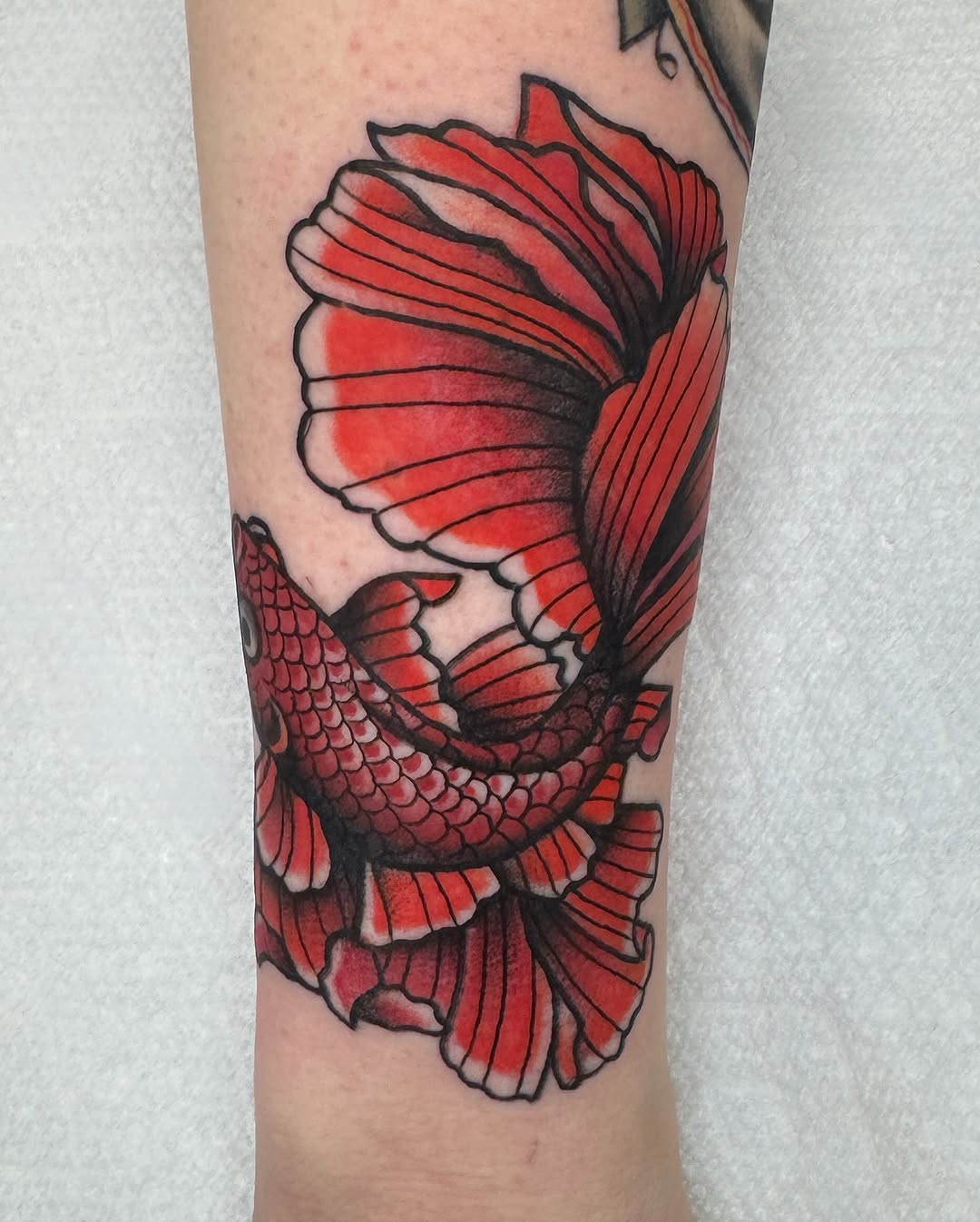 paul_anderson_tattoos