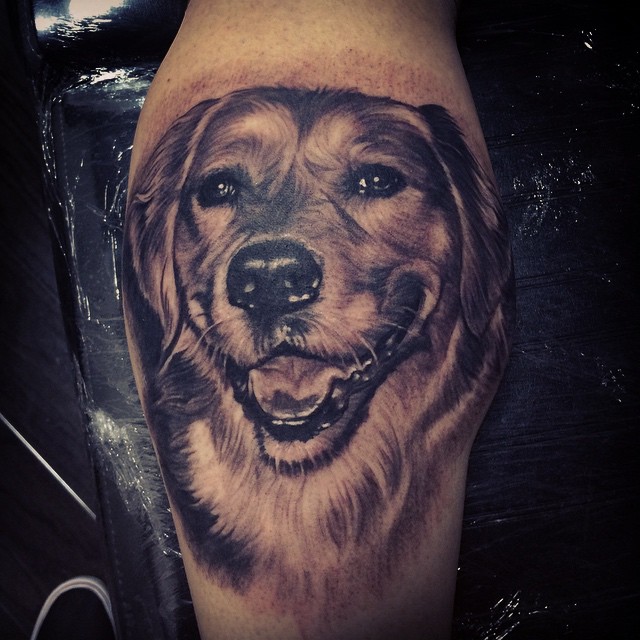 Animal