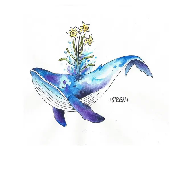 Animal, Nature