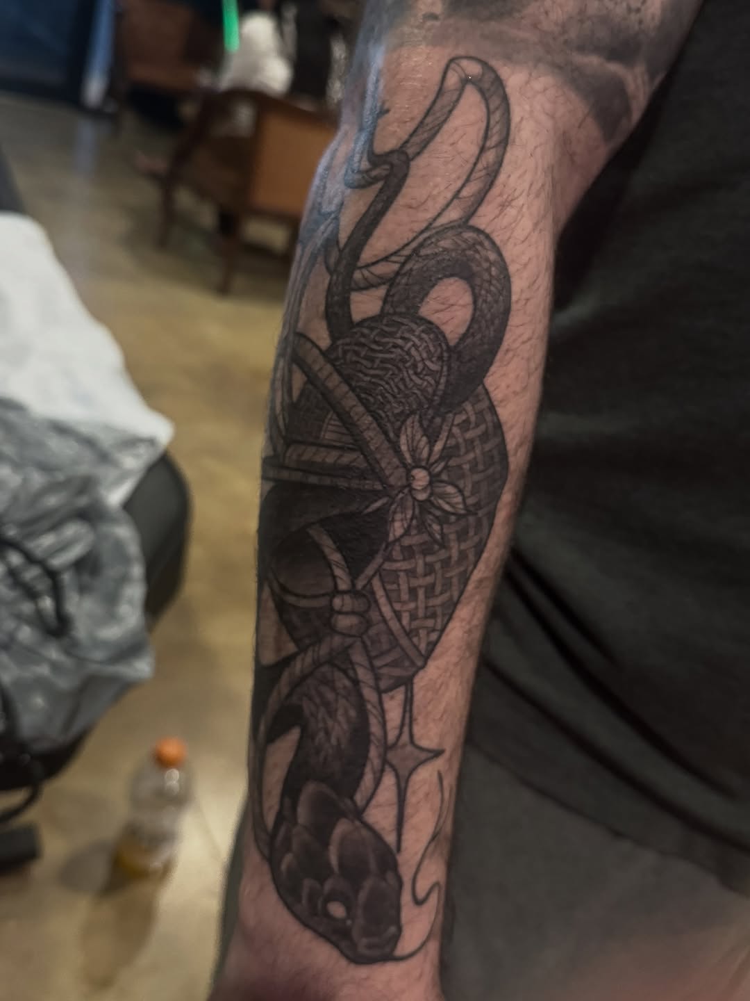 sarastigmata