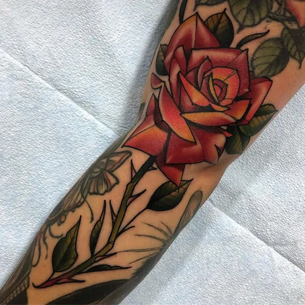 Flower, Rose