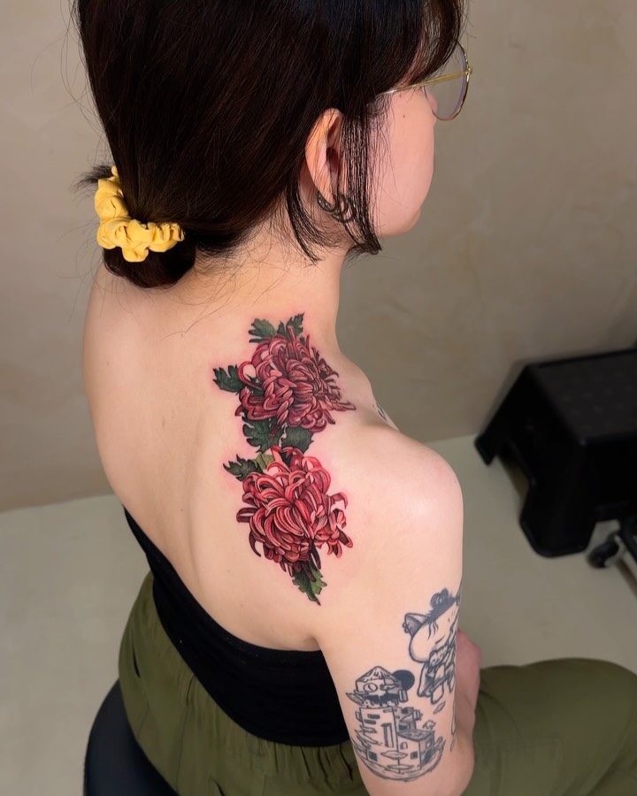 Flower, Rose, Nature