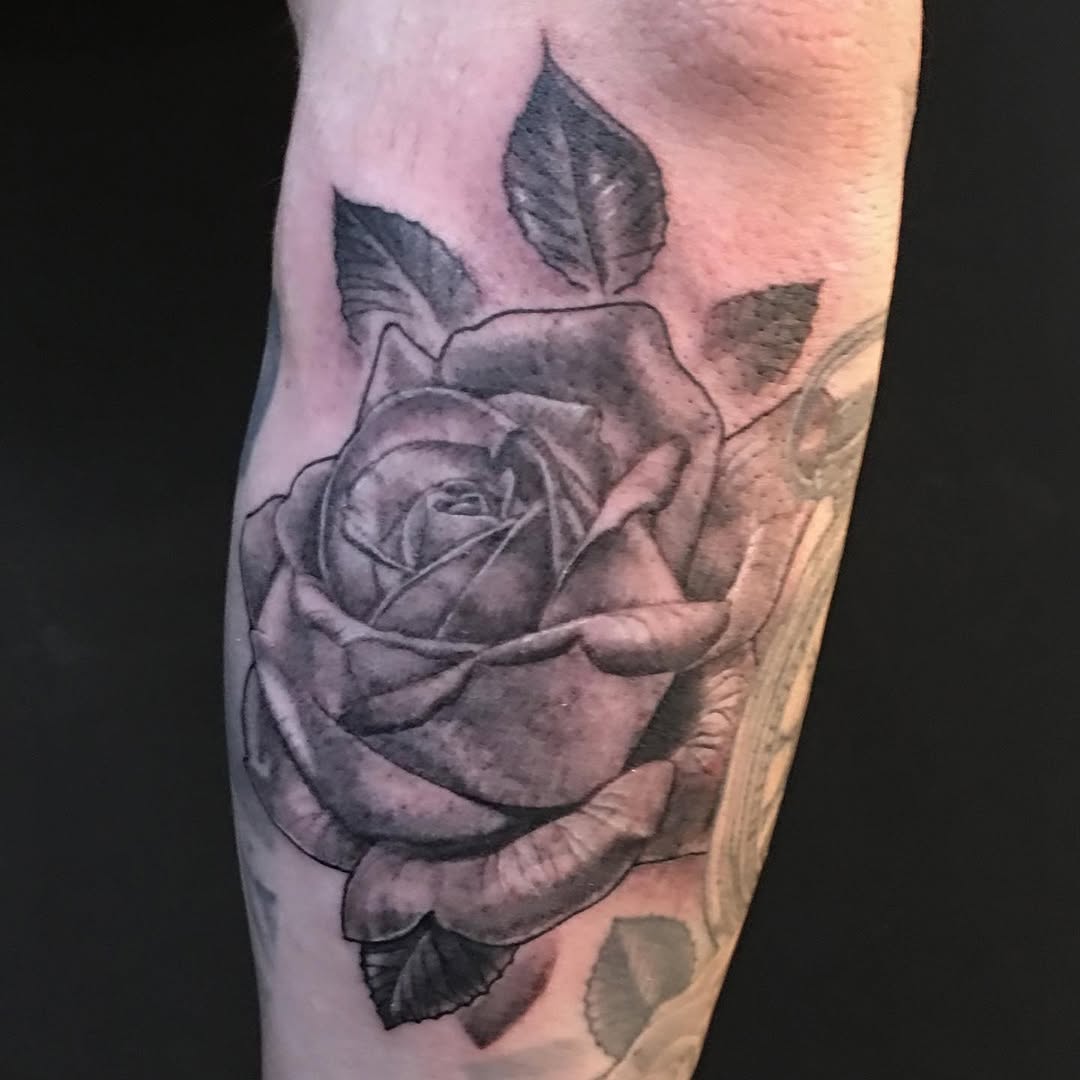 Flower, Rose
