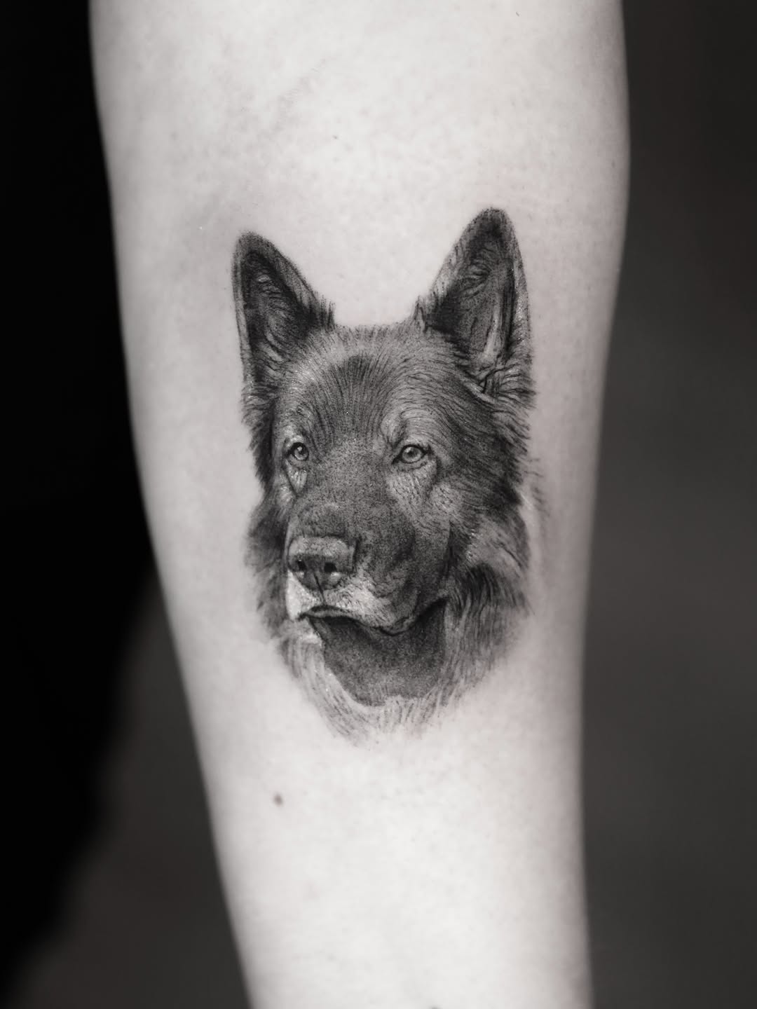ben_tats