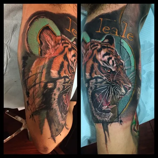 Tiger