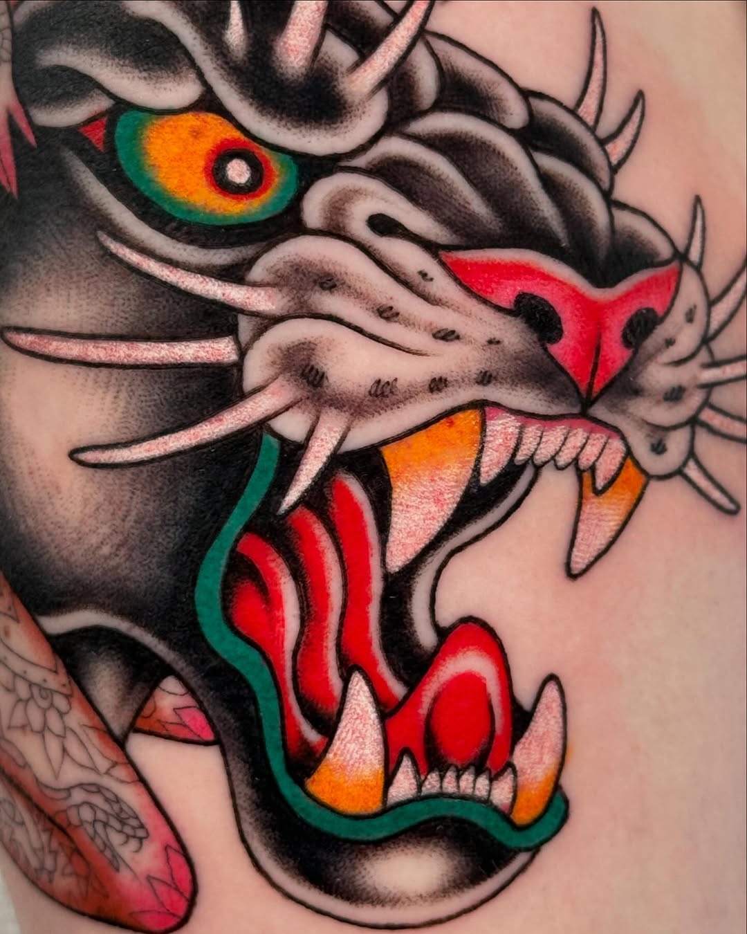 Tiger, Animal