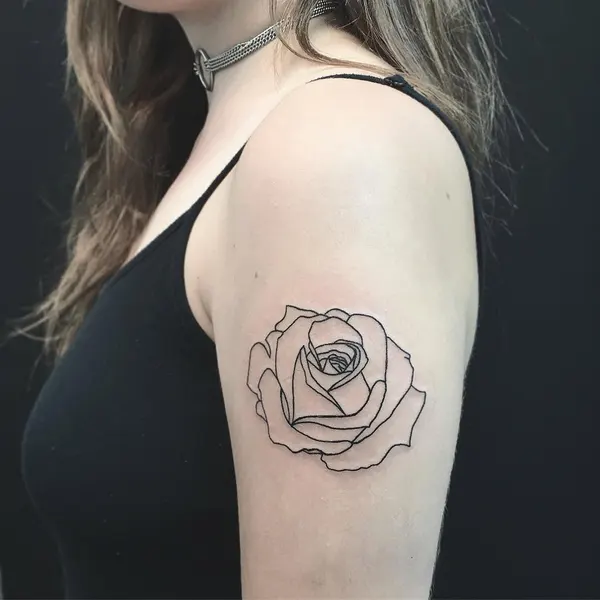 Flower, Rose, Nature
