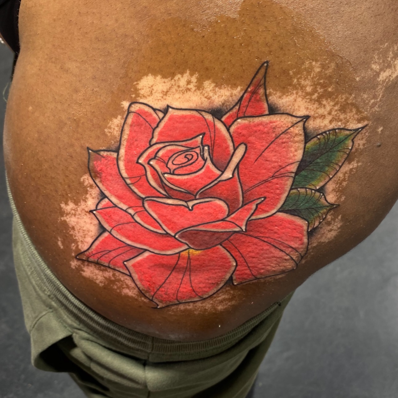 Flower, Rose, Nature