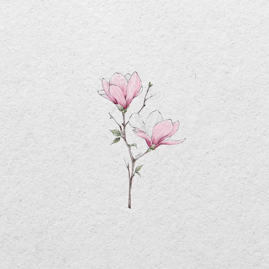 Flower, Nature