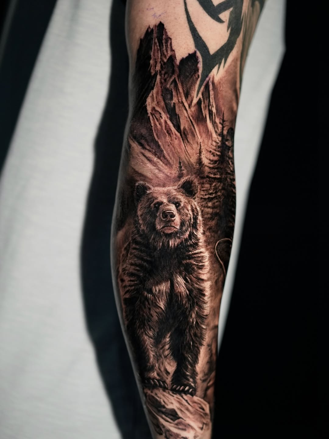 Animal