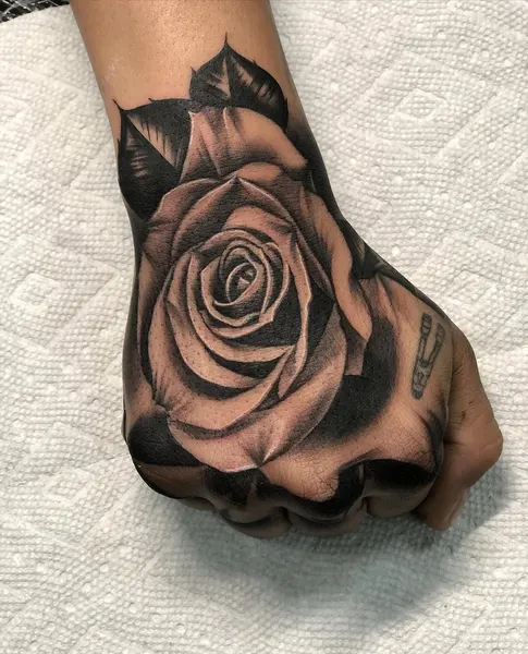 Flower, Rose