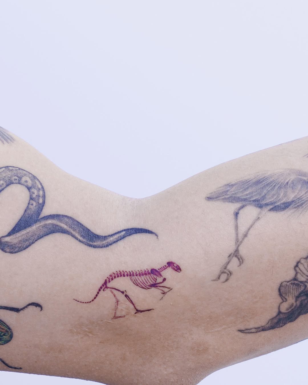 soltattoo
