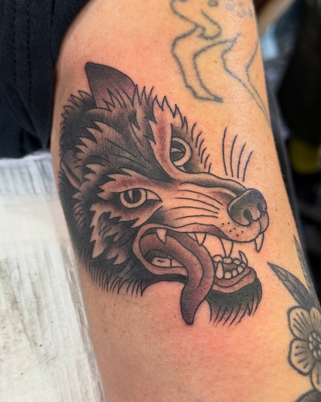 Tiger, Animal
