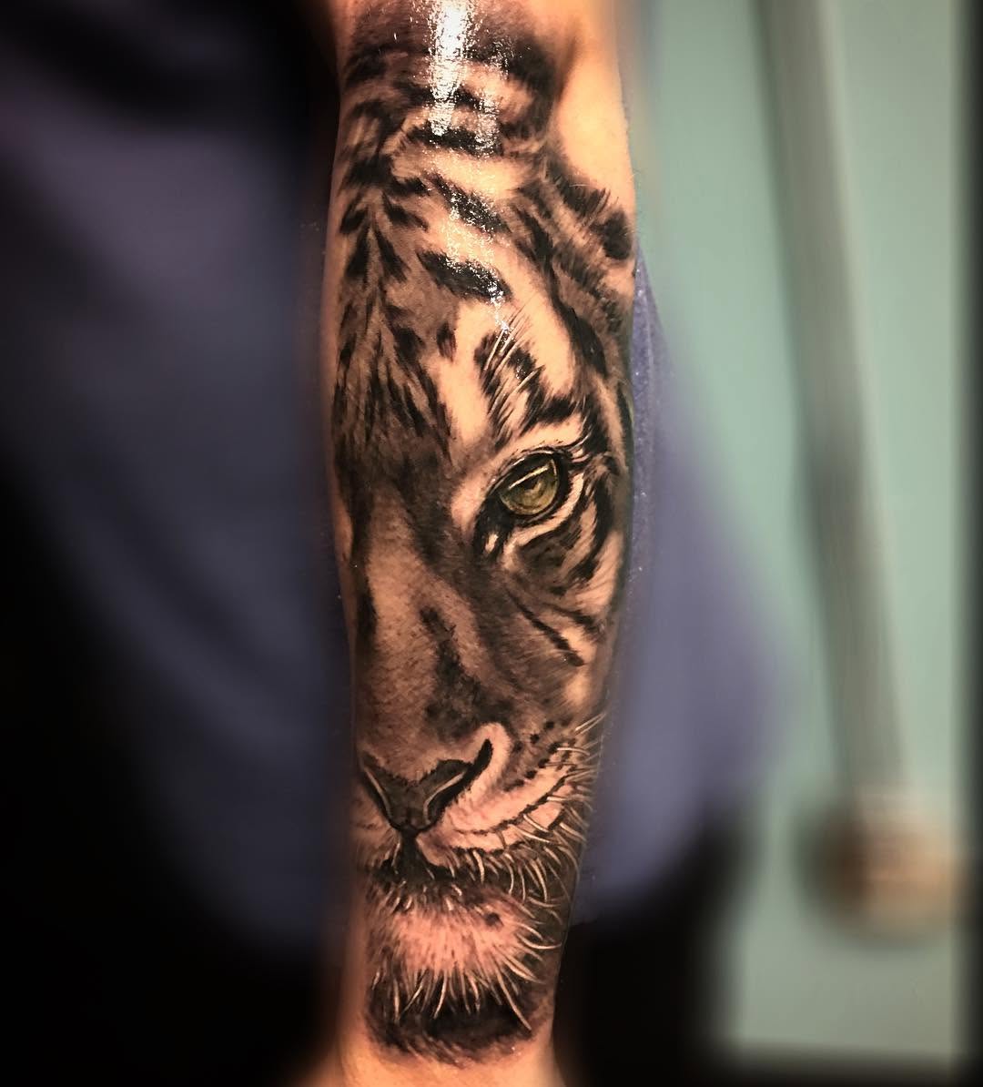 Tiger