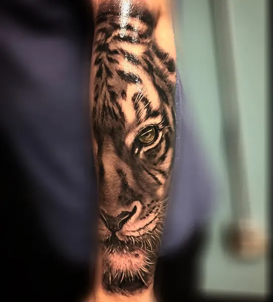 Tiger