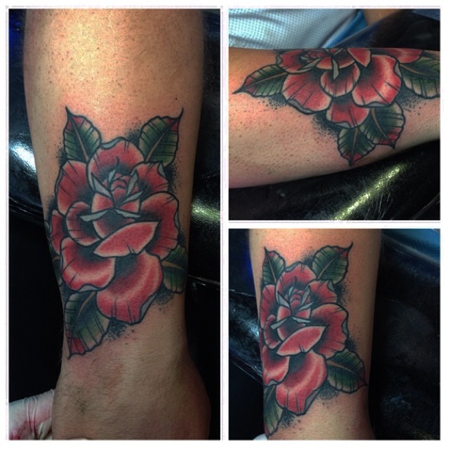 Flower, Rose