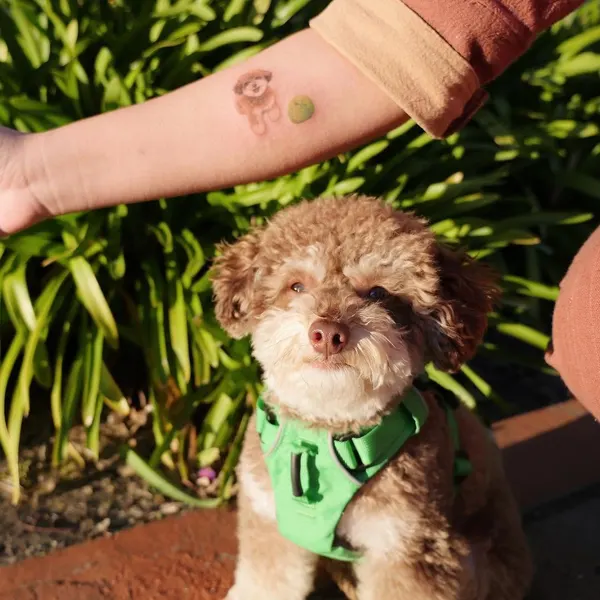 paw.tattoo