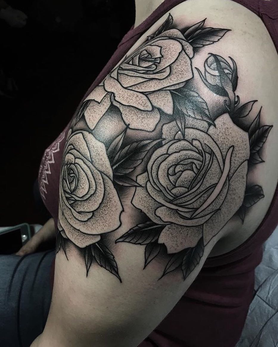 Flower, Rose, Nature
