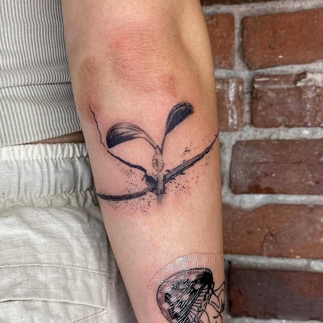 plantsnpokes