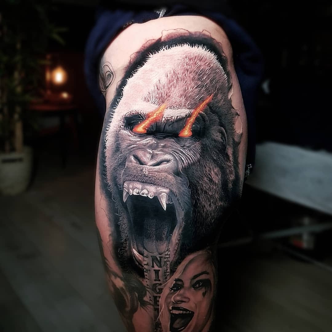 Tiger, Animal