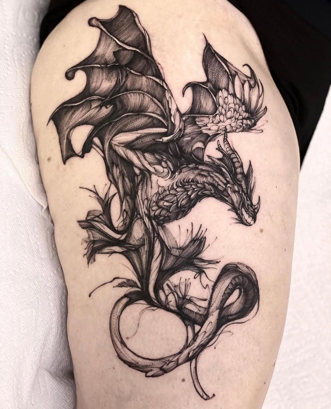 Dragon, 드래곤 라이더, 한국 용