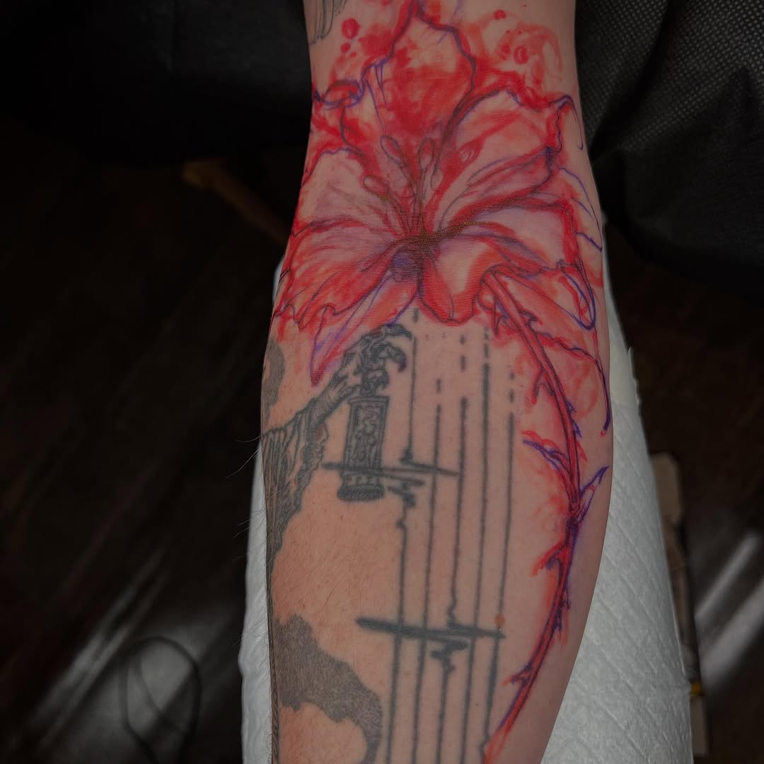 Flower, Rose