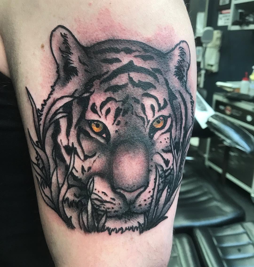 Tiger