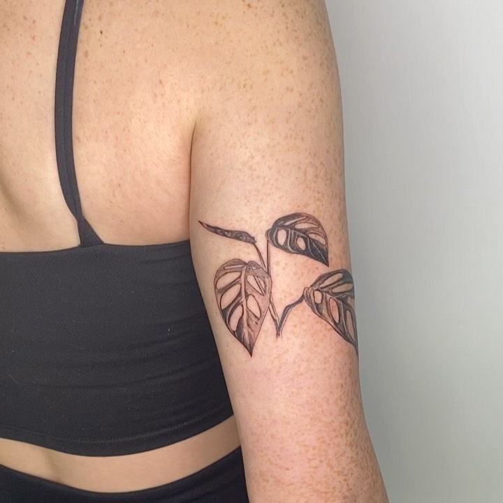 plantsnpokes