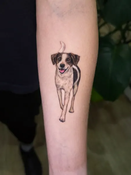 Animal