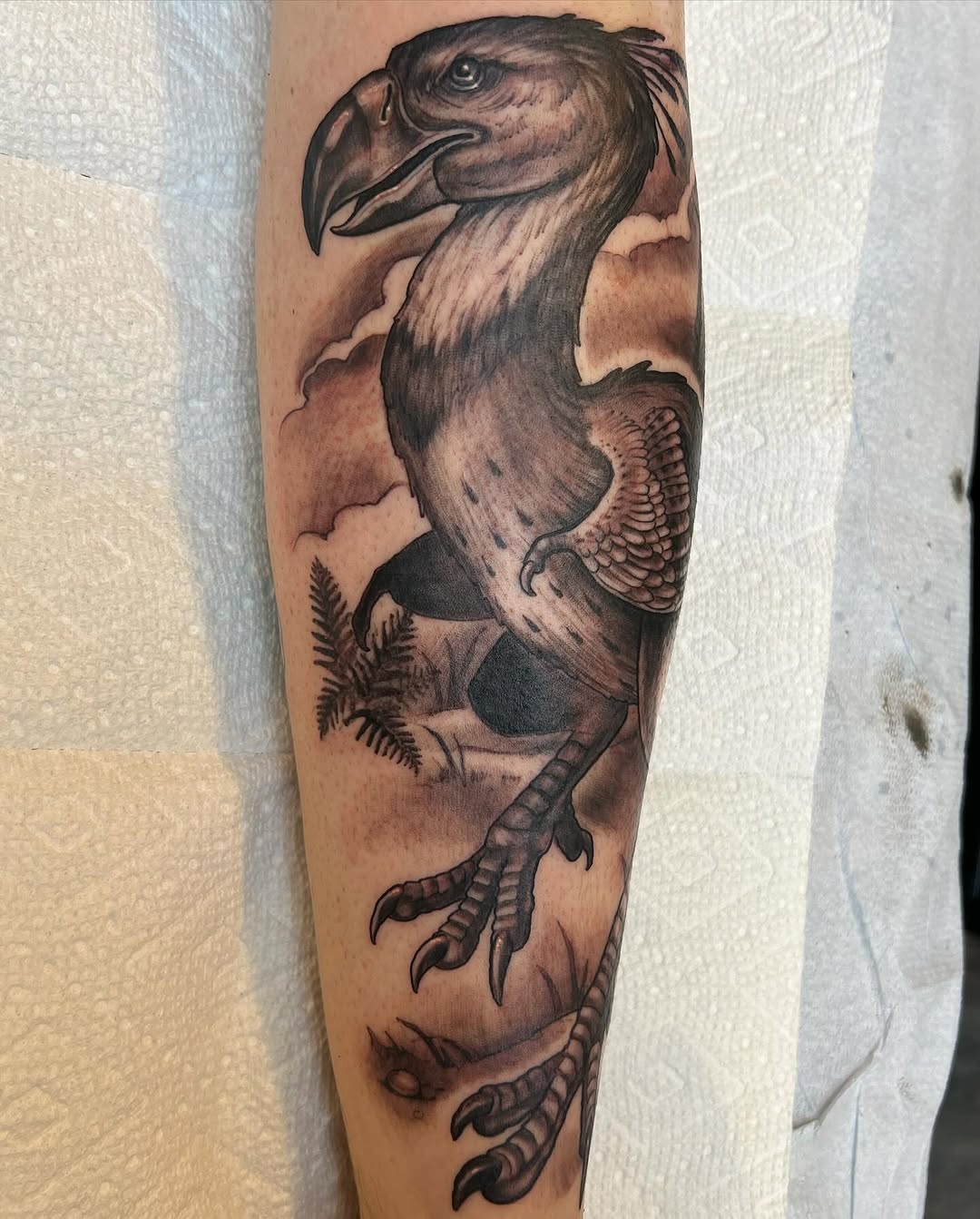 shawn_hebrank
