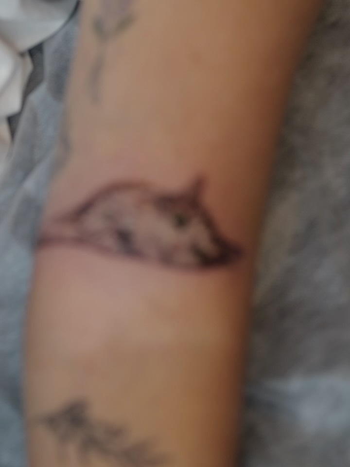 nandotattooer