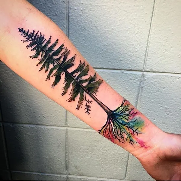 Nature