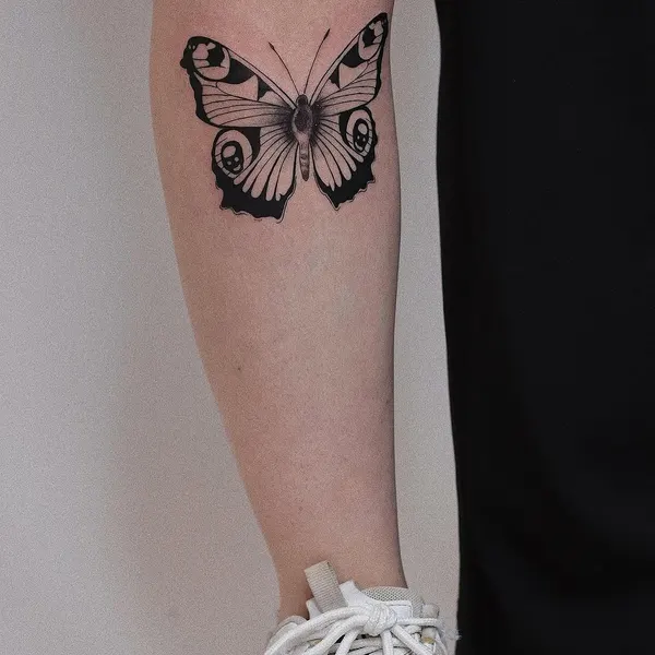 Animal, Nature