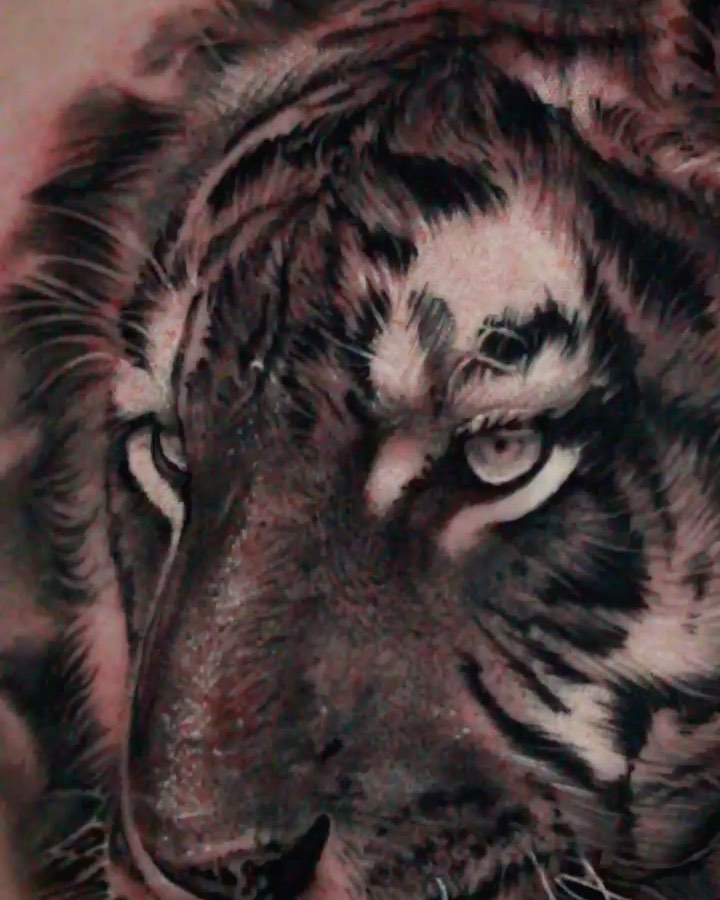 Tiger, 중국 호랑이