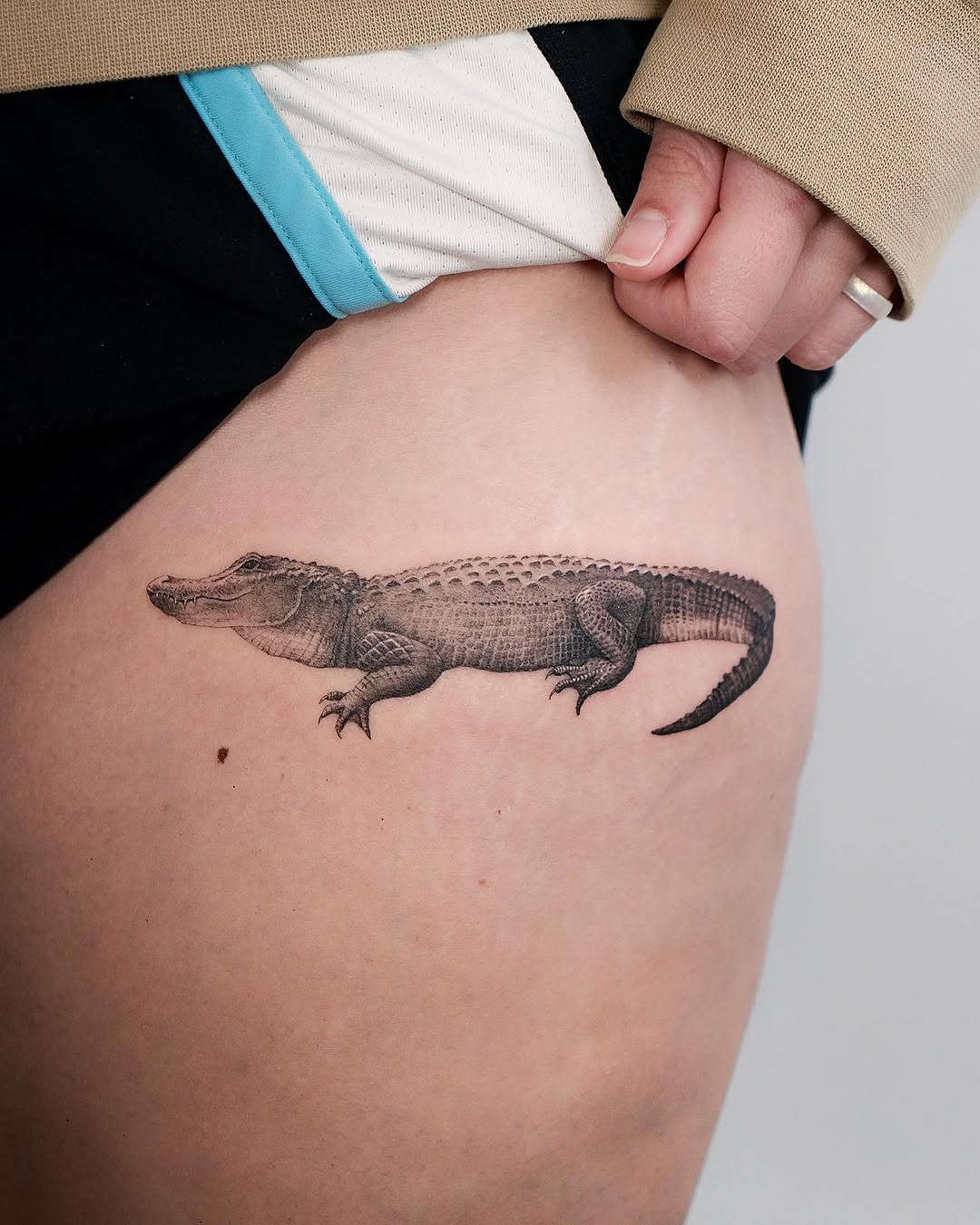 Dragon, 악어