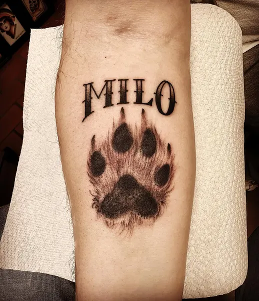 Animal