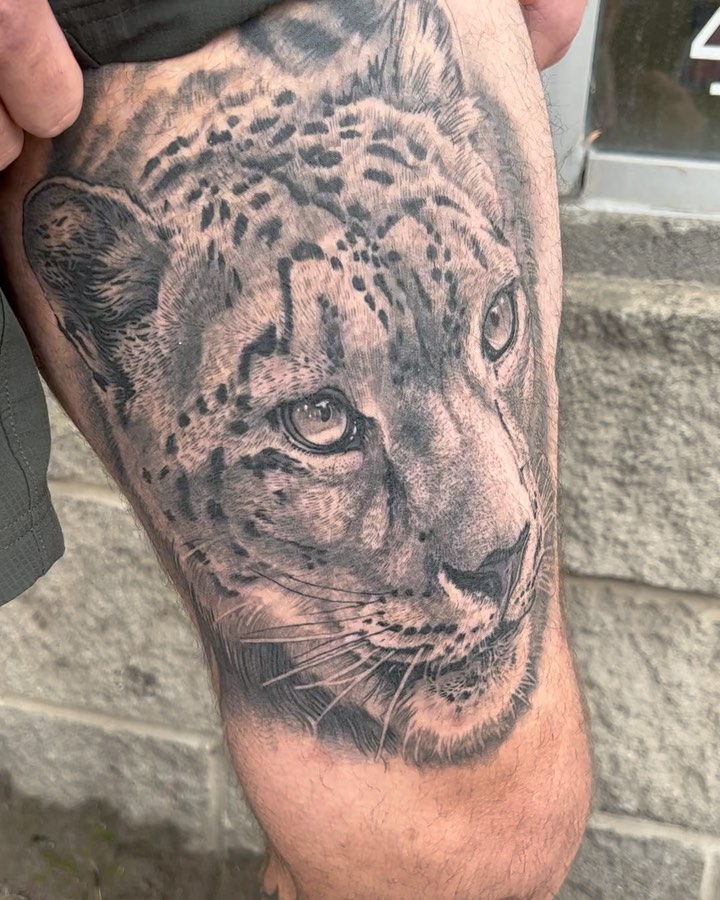 Animal