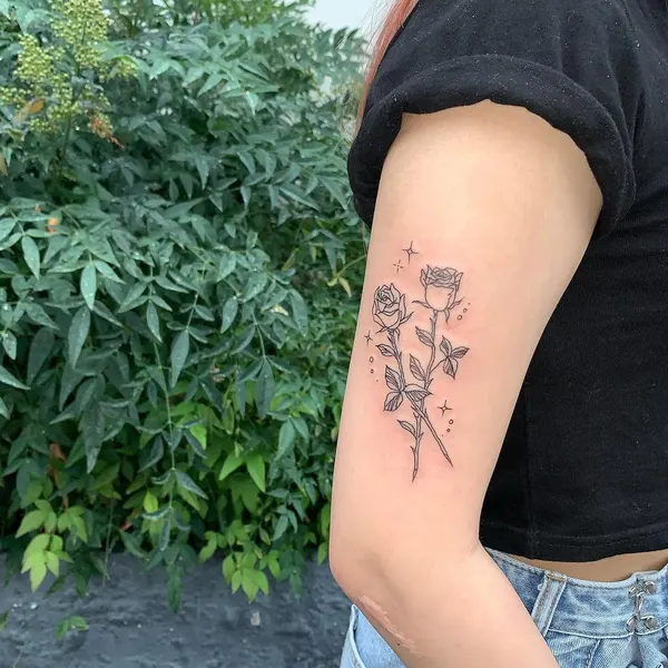 Flower, Rose