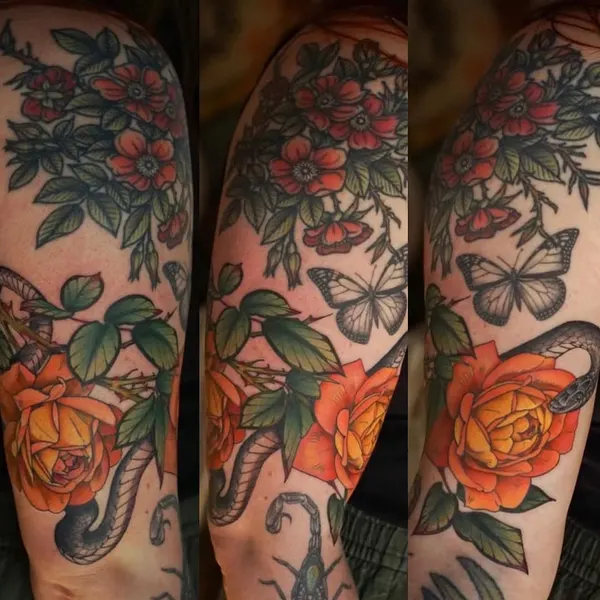 Flower, Rose