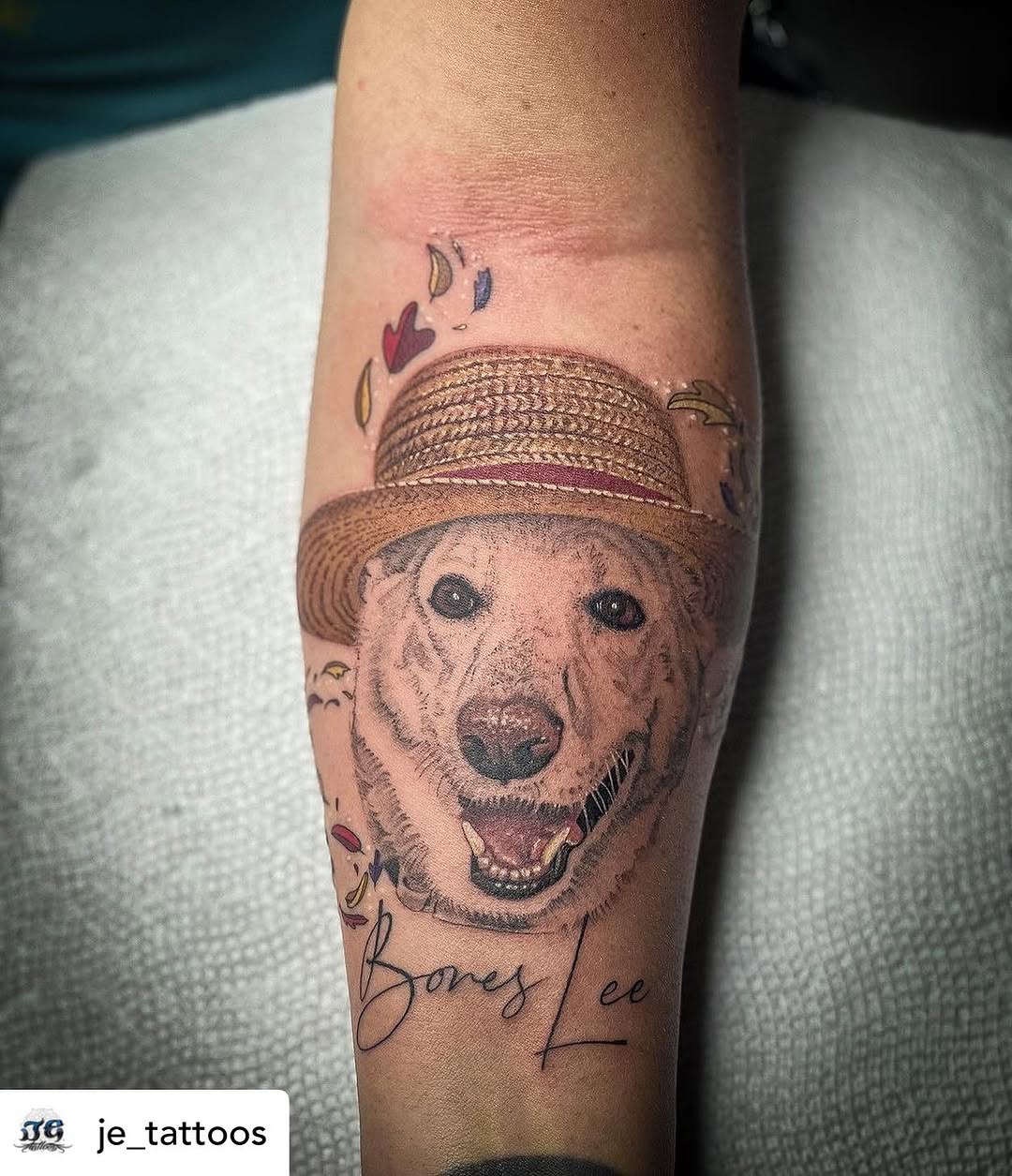 Animal