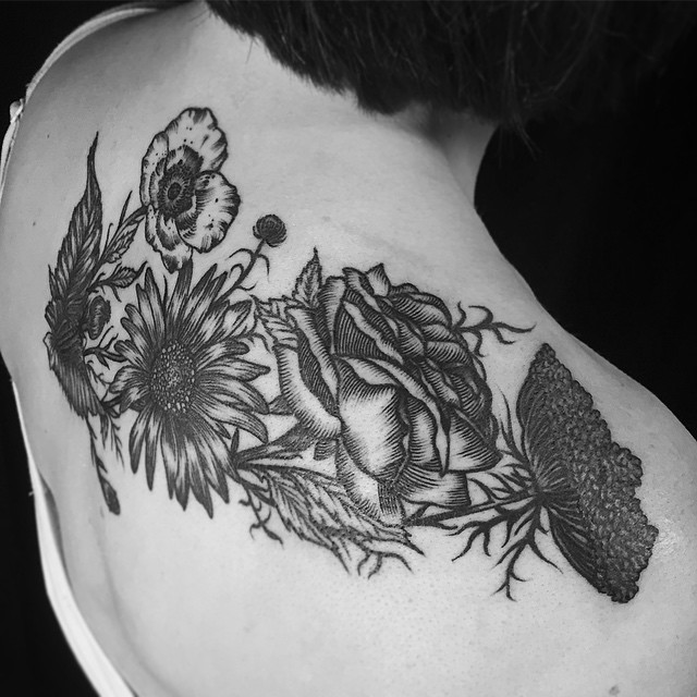 Flower, Rose, Nature