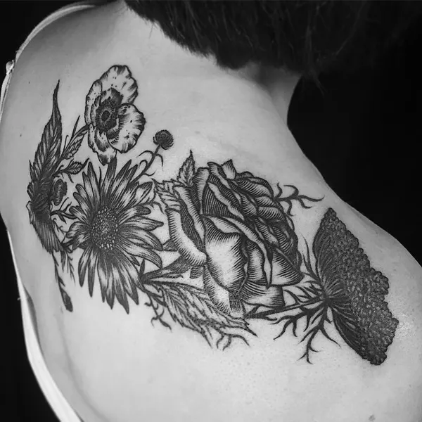 Flower, Rose, Nature