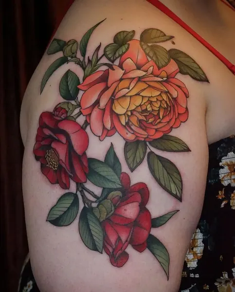 Flower, Rose, Nature